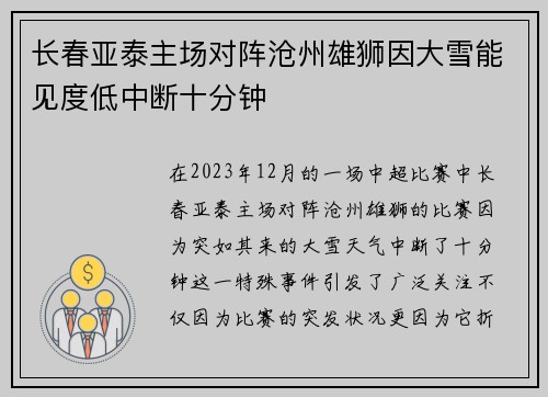 长春亚泰主场对阵沧州雄狮因大雪能见度低中断十分钟 长春亚泰主场对阵沧州雄狮因大雪能见度低中断十分钟