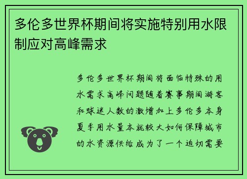 多伦多世界杯期间将实施特别用水限制应对高峰需求